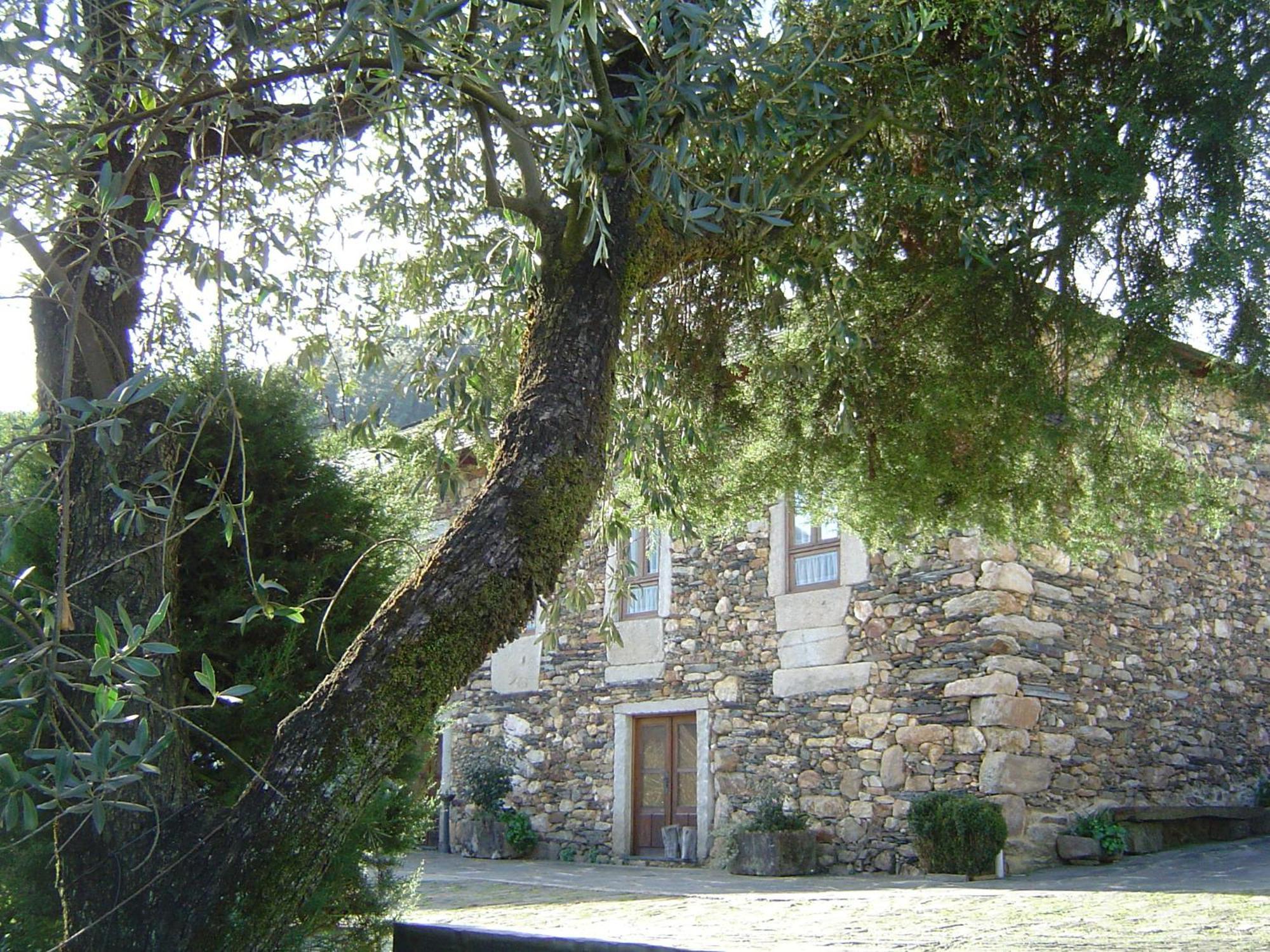 Casa Do Pinto Konuk evi Arouca Dış mekan fotoğraf